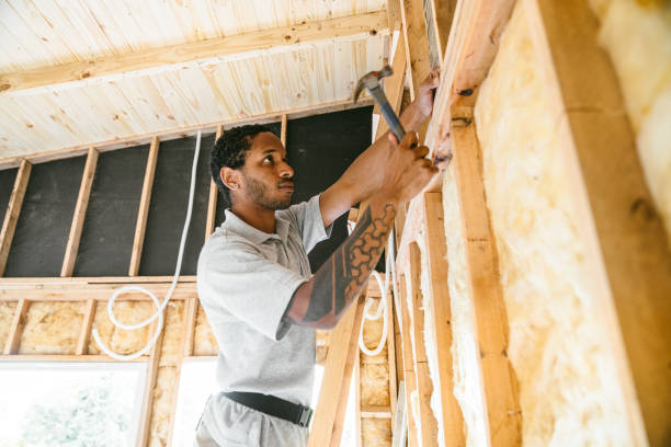 Best Home Insulation Services  in USA